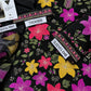 3-Piece Premium Embroiderey Dhanak Suit
