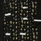 Embroidered 2Pc Lawn Unstitched Summer Dress